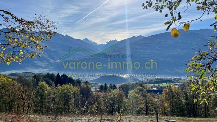 Appartements en terrasses contemporains