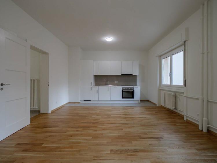 Charmant studio à louer à Fribourg !
