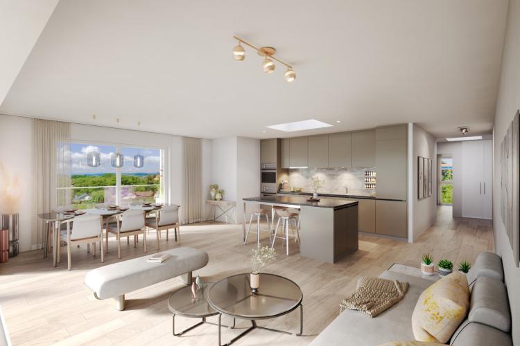 Apartment for sale, chemin des Erables 64 (Attalens, Switzerland)