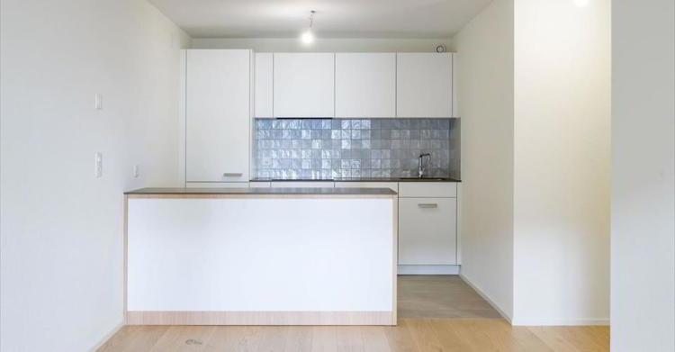 Appartement 2.5 pièces