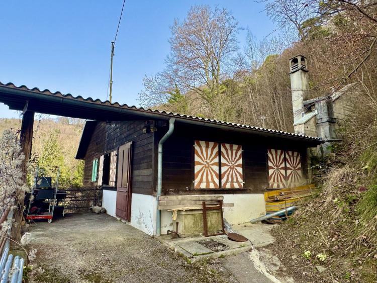 House for sale, Puidoux (Puidoux, Switzerland)
