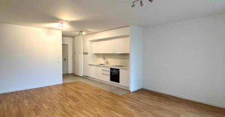 Appartement 1 pièce