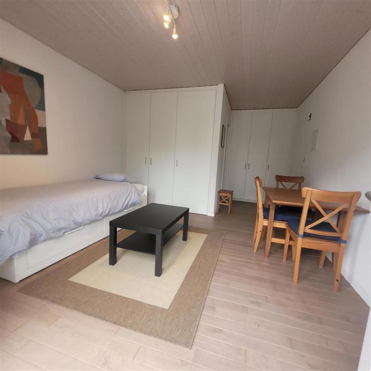 Apartment for rent, Rue de Montbrillant 21 - 21 bis (Geneva, Switzerland)