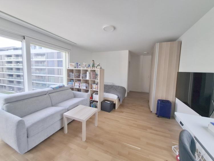 Apartment for sale, Opportunité investisseurs - proximité UNIL et EPFL (Chavannes-près-Renens, Switzerland)