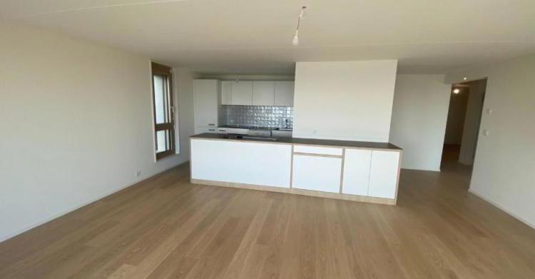 Appartement 4.5 pièces