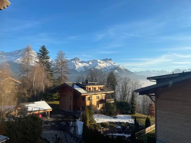 Chalet 2669 (3 Wohnungen)