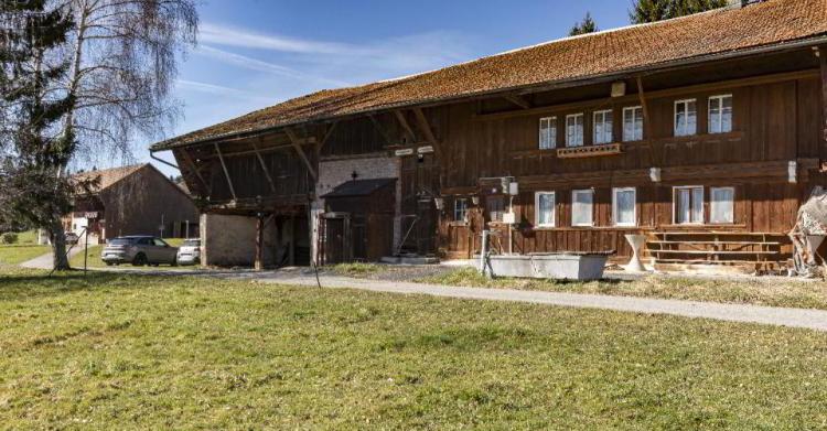 Ferme