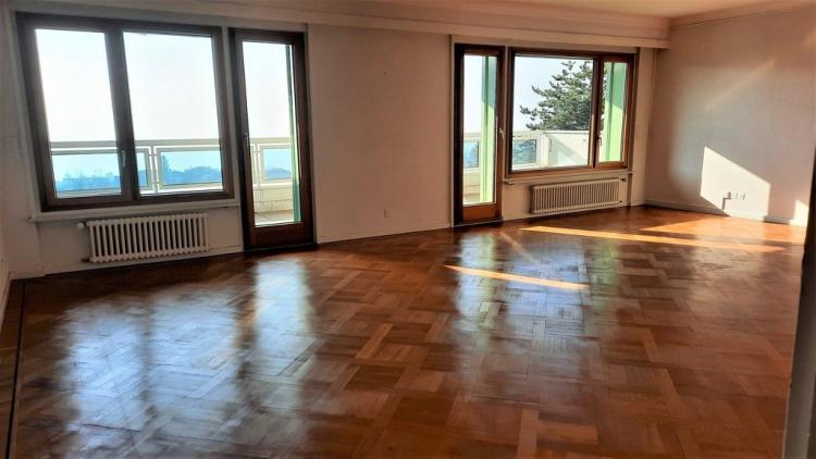 Splendide logement avec une vue sur le lac