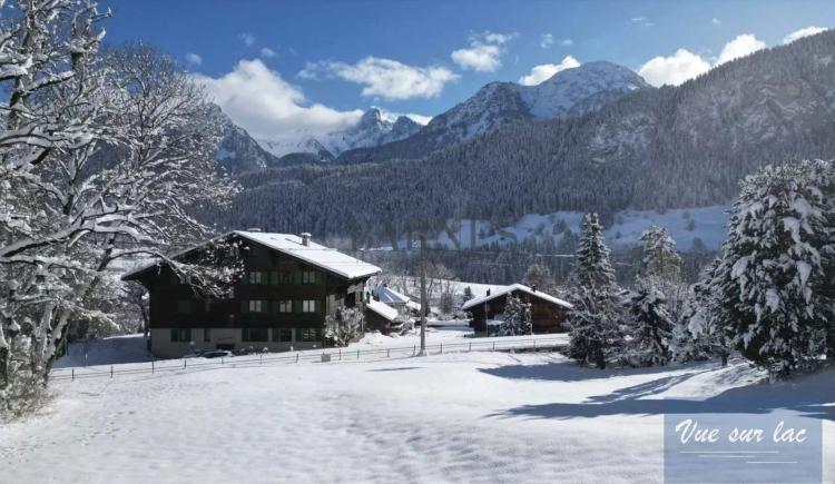 Votre duplex dans l'Oberland Bernois, la magie de la Suisse