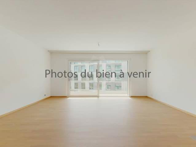 Charmant appartement - Genève