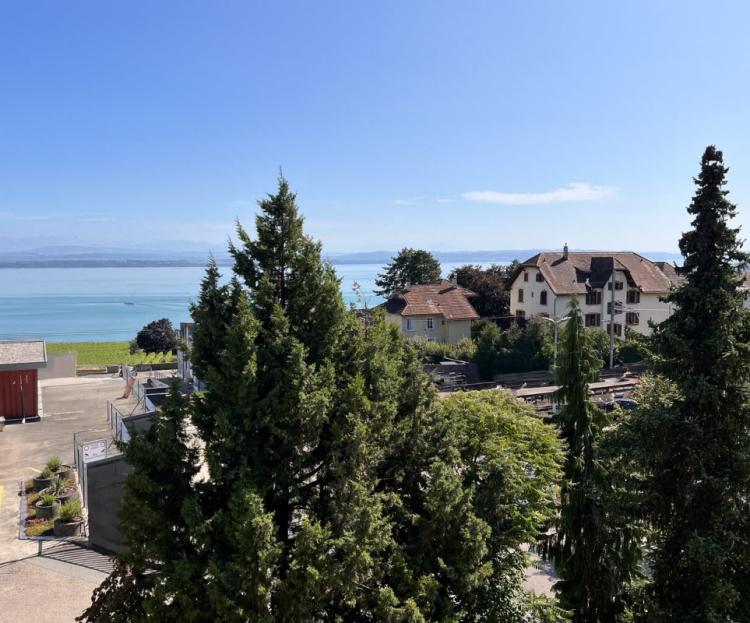 Confort, lumière et vue panoramique sur le lac et les Alpes