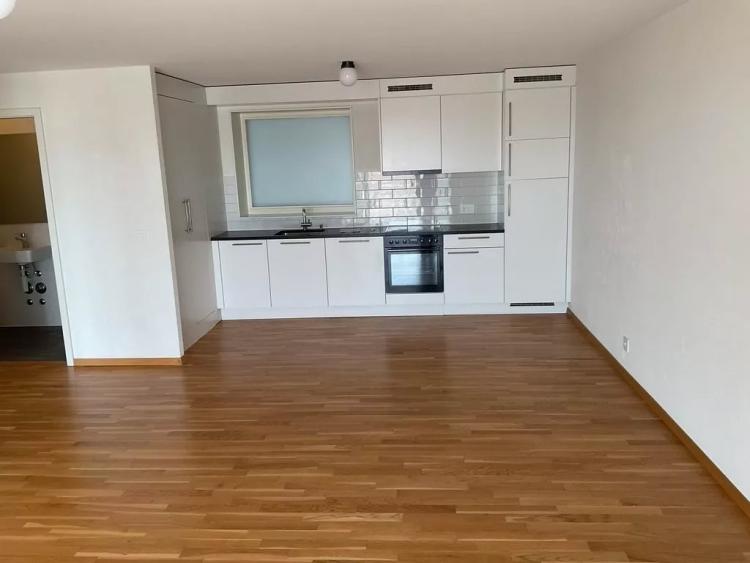 Moderne 4.5 pièces dans la résidence Sébeillon