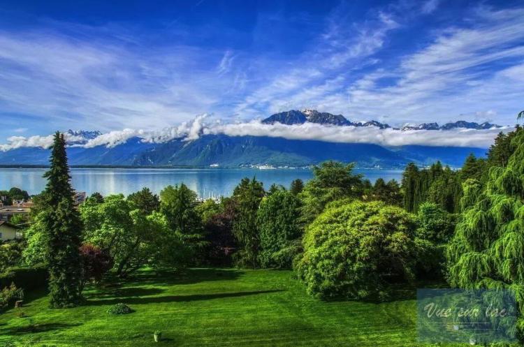 Superbe propriété sur plus de 10'000m2 constructibles