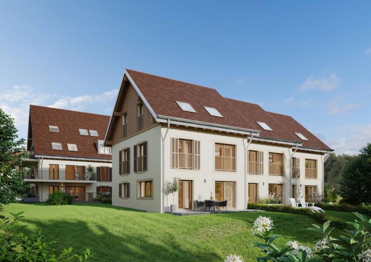 House for sale, Vaud (Échallens, Switzerland)