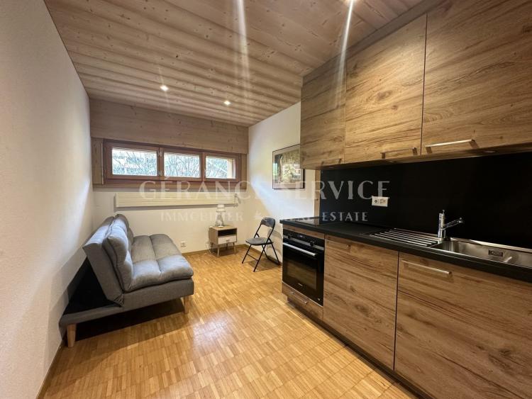 Apartment for rent, Centre de Villars (Ollon, Switzerland)
