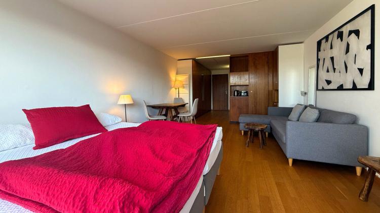 Apartment for rent, Rue du Pas de l'Ours 31 (Lens, Switzerland)