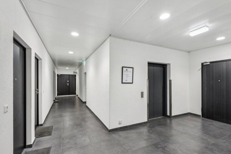 Apartment for rent, Rue du Tunnel 15 (Carouge, Switzerland)