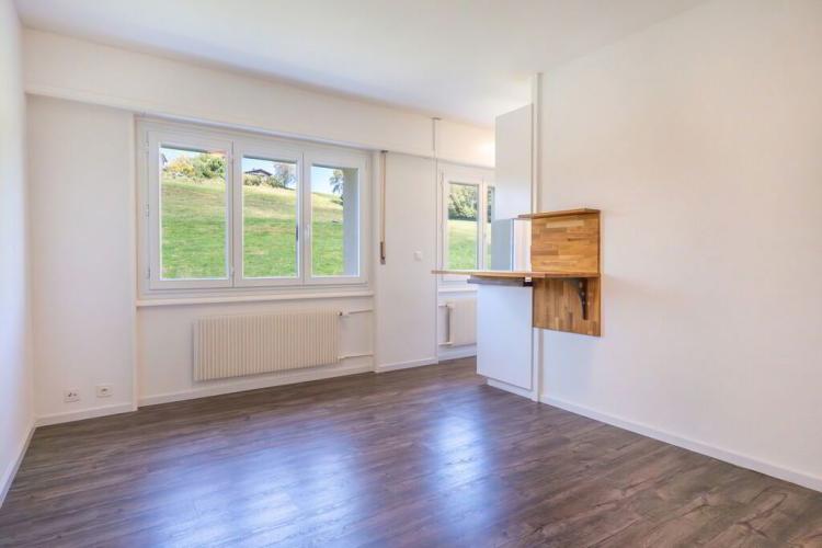 Appartement de 1 pièce entièrement rénové
