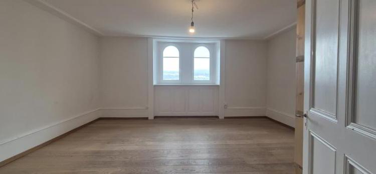 Charmant 2.5 pièces avec mezzanine - La Chaux-de-Fonds
