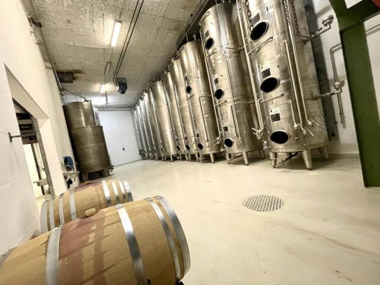 Domaine viticole 10 pièces 578 m2 à Salgesch