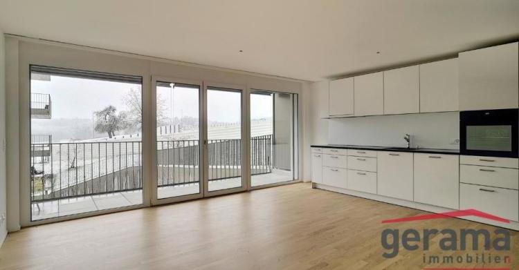 Appartement 4.5 pièces