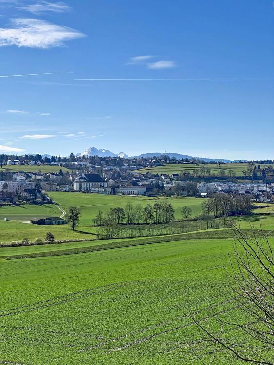 BIEN D'EXCEPTION Magnifique villa individuelle