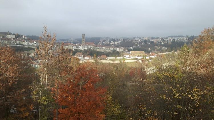 Beau 3½ pièces en pleine verdure et au coeur de la ville