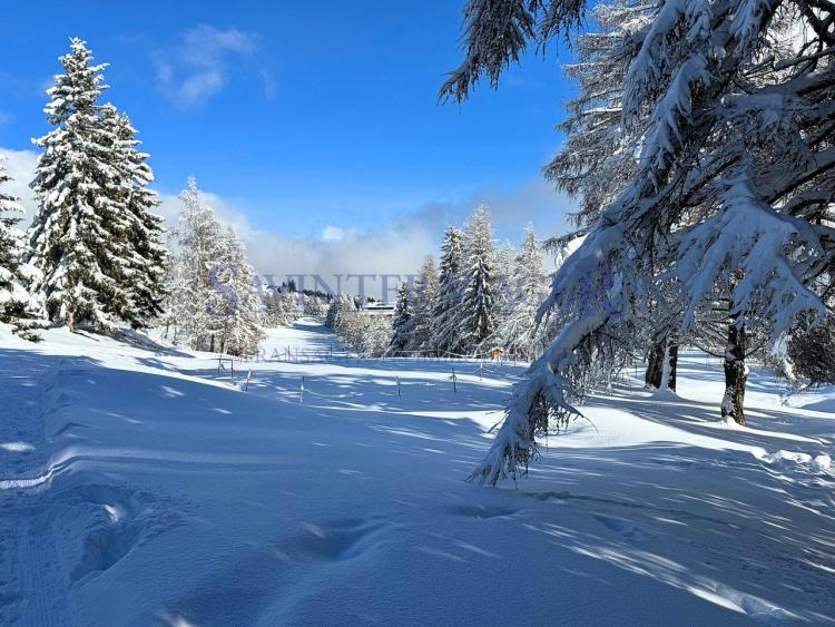 Apartment for sale, 3963 Crans-Montana, Switzerland (Crans-Montana, Switzerland)