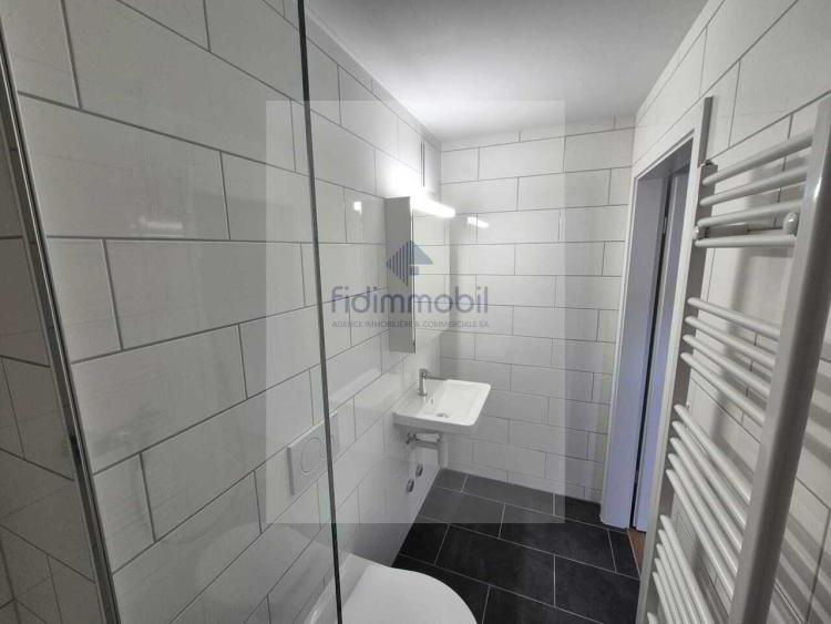 Apartment for rent, Numa-Droz 208 (La Chaux-de-Fonds, Switzerland)