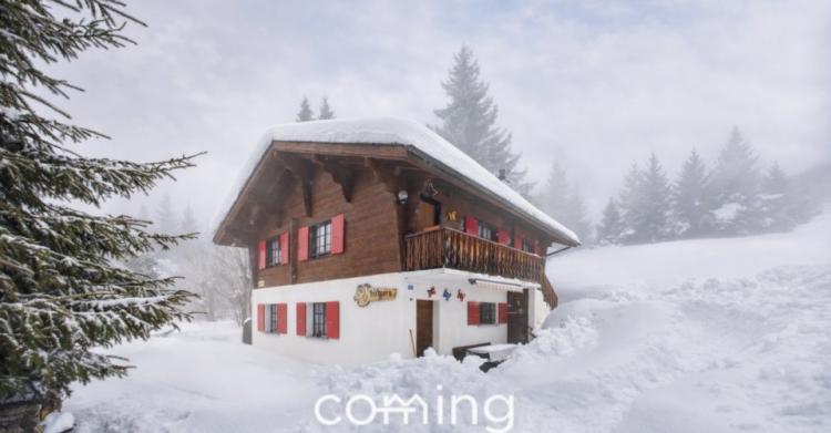 Chalet 8 pièces