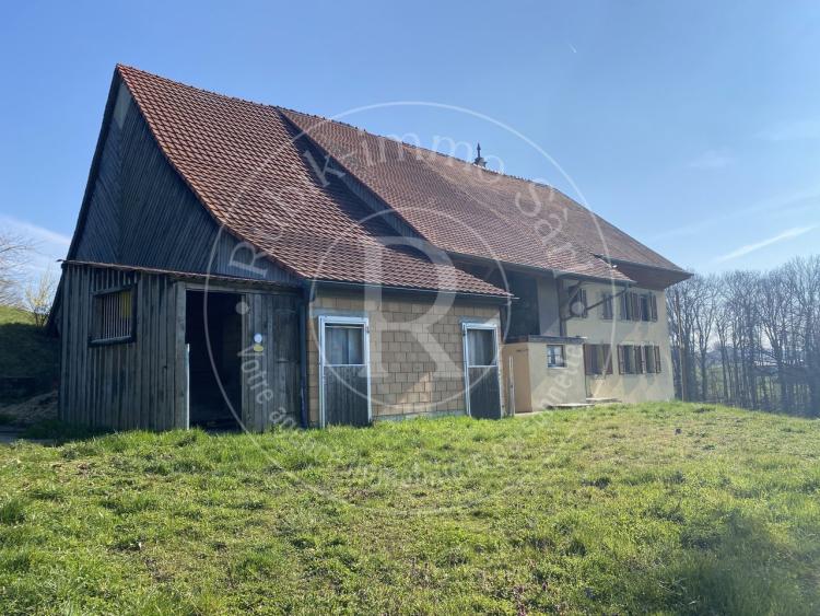 House for sale, Route de Villars-Bramard 1 (Valbroye, Switzerland)