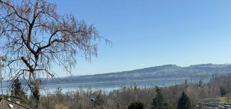 Apartment for sale, Les Bains (Jura-Nord vaudois District, Switzerland)