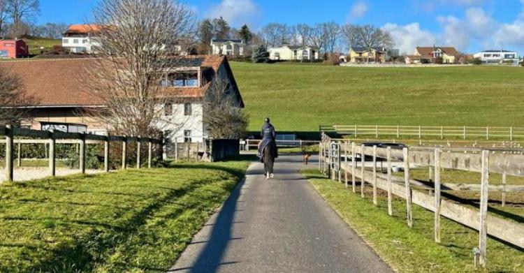 Ferme