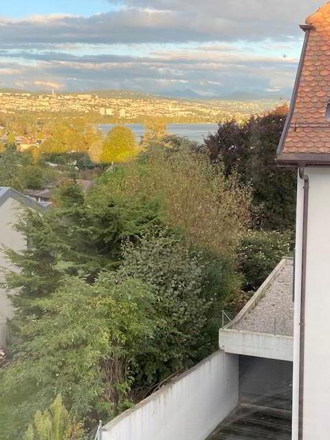 Apartment for rent, Rue du Centre 25 (Saint-Sulpice, Switzerland)