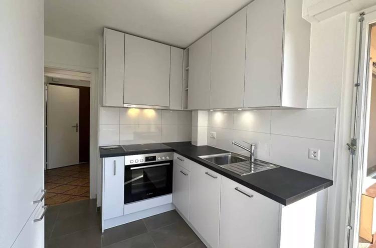 Charmant appartement rénové à Pully