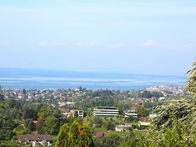 DANS LES HAUTEURS DE MONTREUX - SPLENDIDE APPARTEMENT