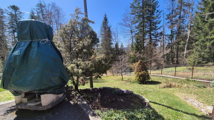Neuer PREIS! Mitten in der Natur, alte Zollstation mit 3 Apartments