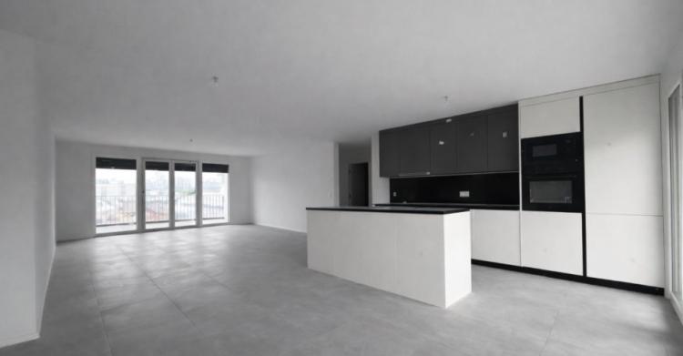Appartement 4.5 pièces