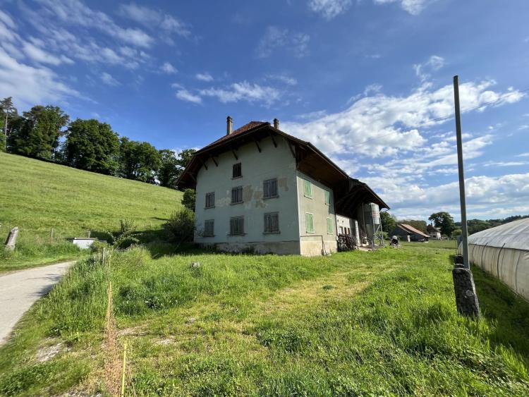 Belle ferme avec fort potentiel