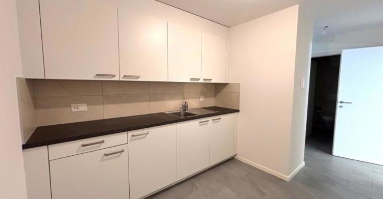 Appartement 1.5 pièces