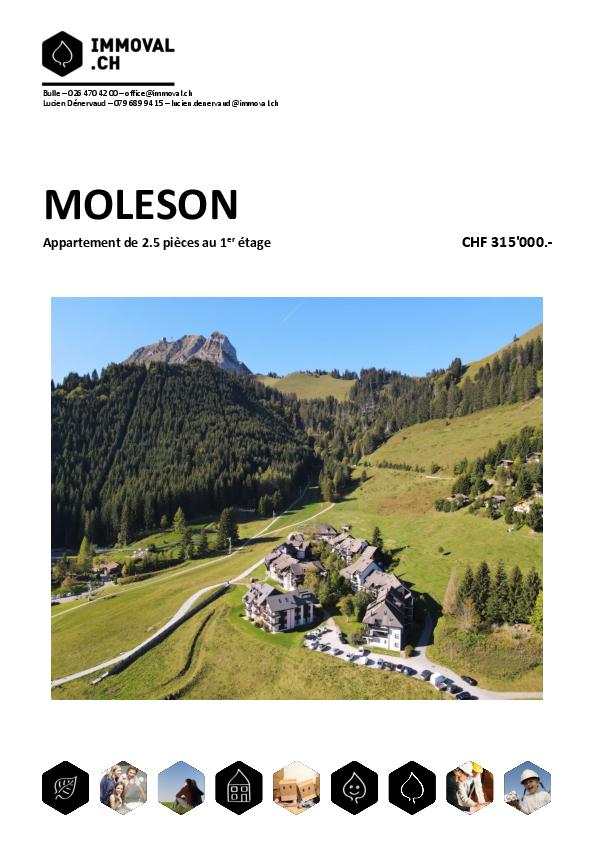 MOLESON | APPARTEMENT 2.5 p