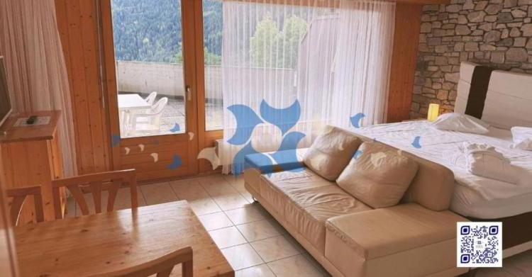 Appartement meublé 1.5 pièces