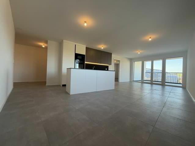 Appartement neuf de 3.5 pièces au rez-de-chaussée à Farvagny