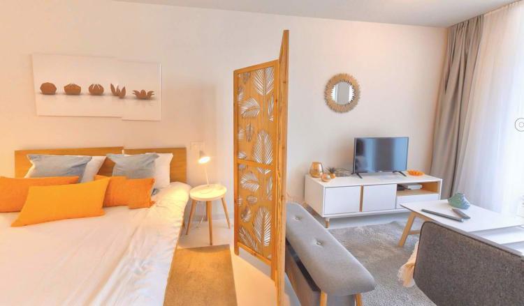 Furnished Premium studio with parking space available - Nyon