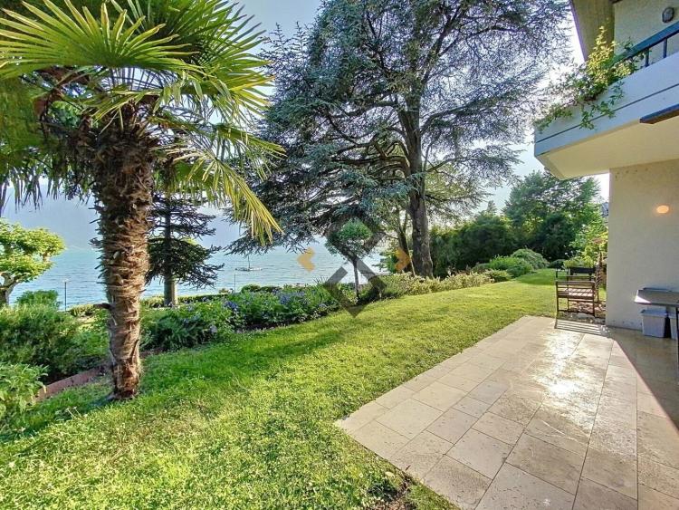 Opportunité Rare - duplex 6.5 pces "les pieds dans l'eau"