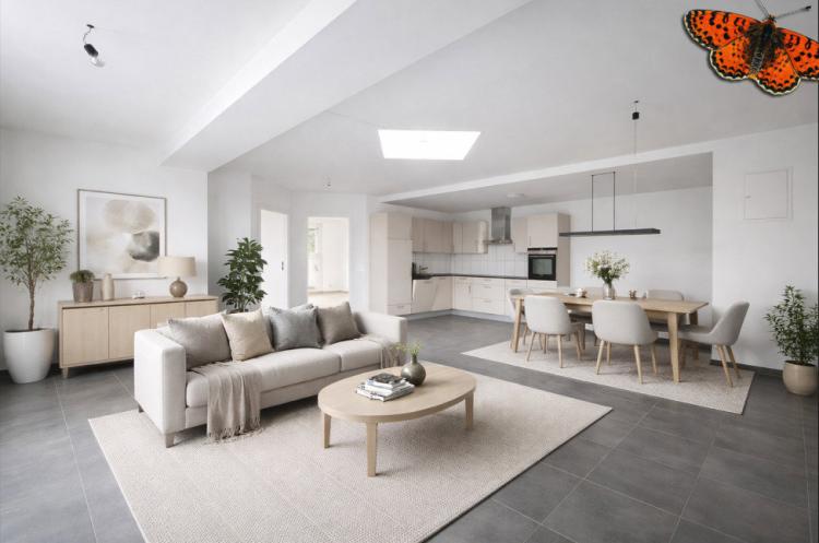 Apartment for rent, Rue de Lausanne 81 (Fribourg, Switzerland)