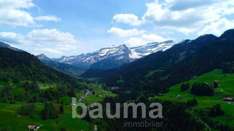 Chalet entièrement rénové