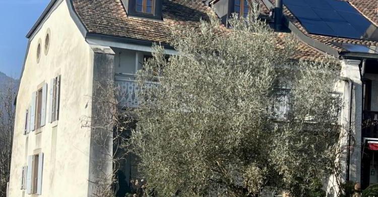 Maison 7 pièces