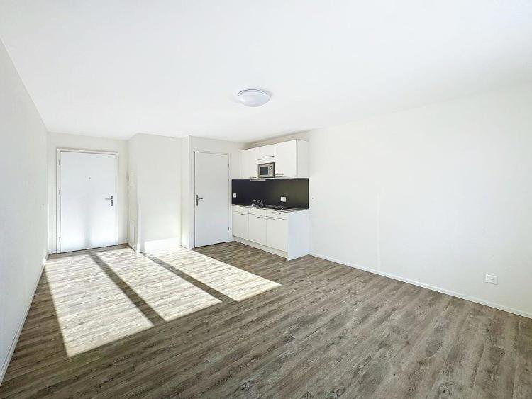 Apartment for rent, Rue de la Maladière 4 (Neuchâtel, Switzerland)