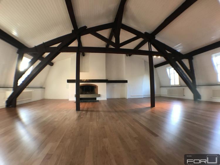Apartment for rent, rue Jacques-Dalphin (Carouge, Switzerland)